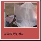 A person hanging a white mosquito net over a bed inside a home