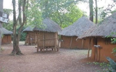 Round thatched mud huts in a shaded compound under trees, with a Luo Village sign