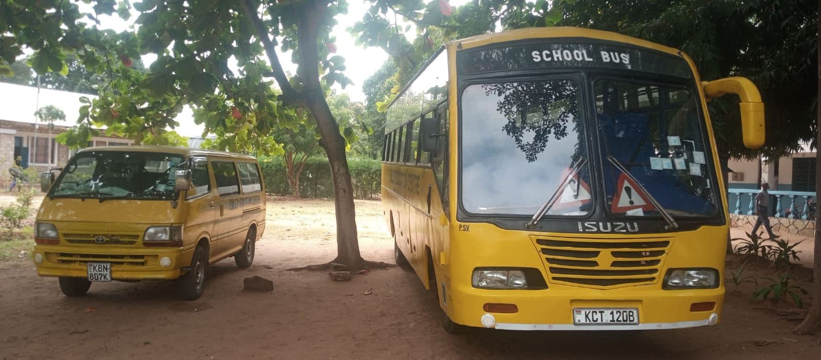 The yellow Emley school bus and school van parked under the trees