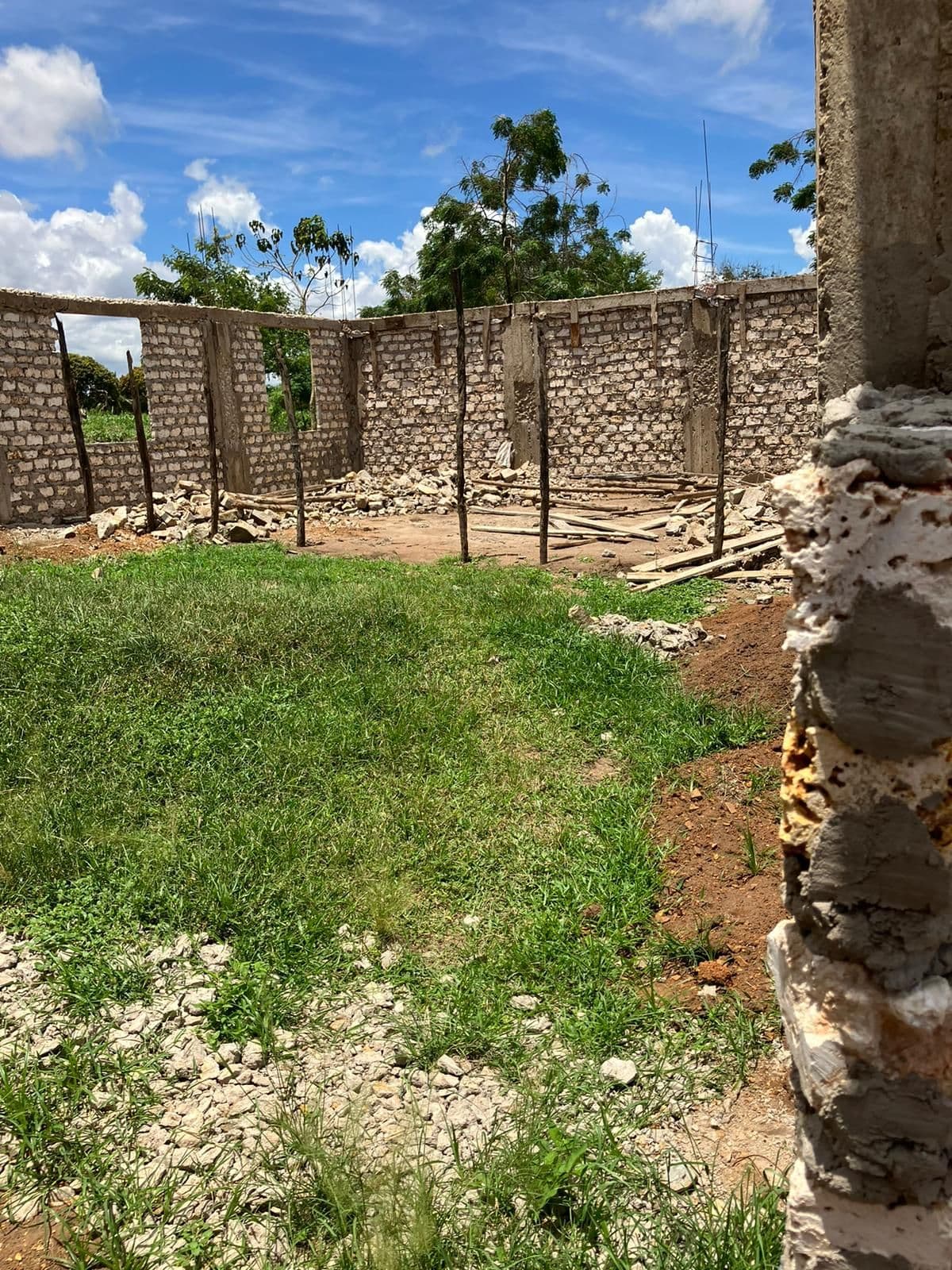 Roofless block walls of a rural building standing in long grass