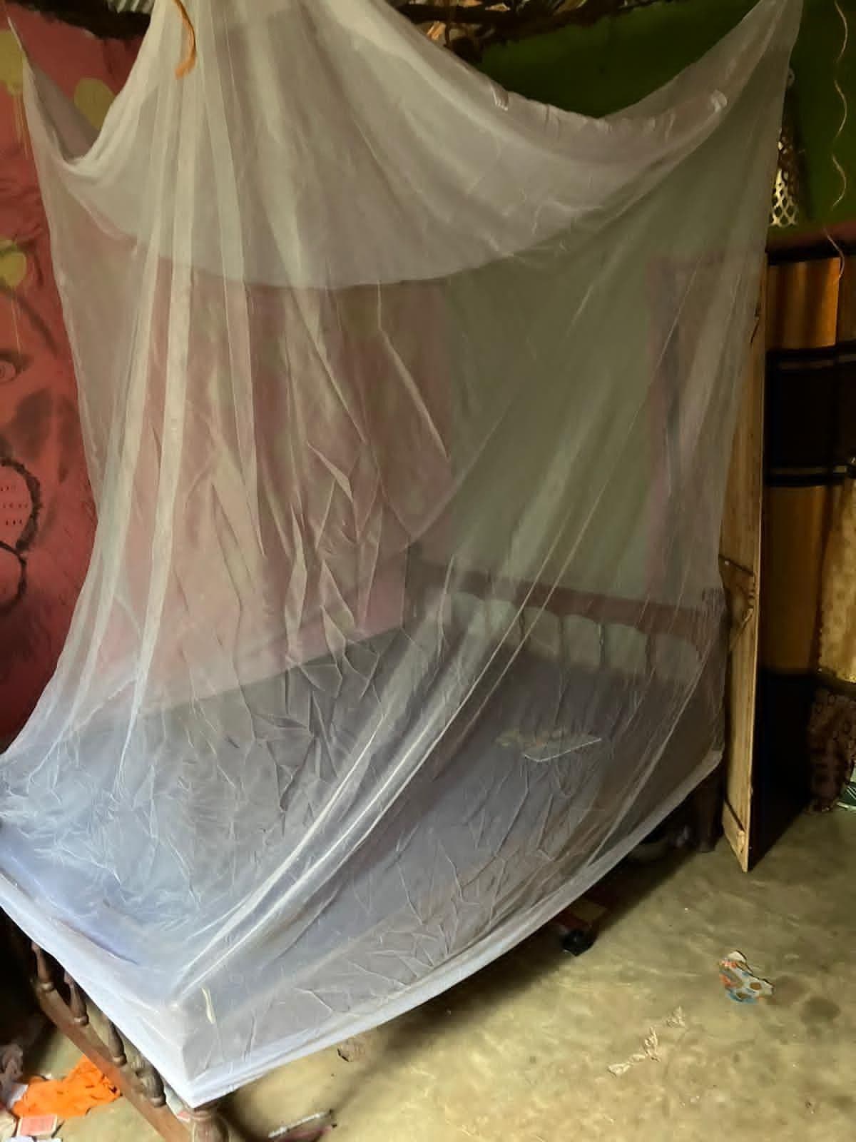 A white mosquito net hung over a bed in a small room