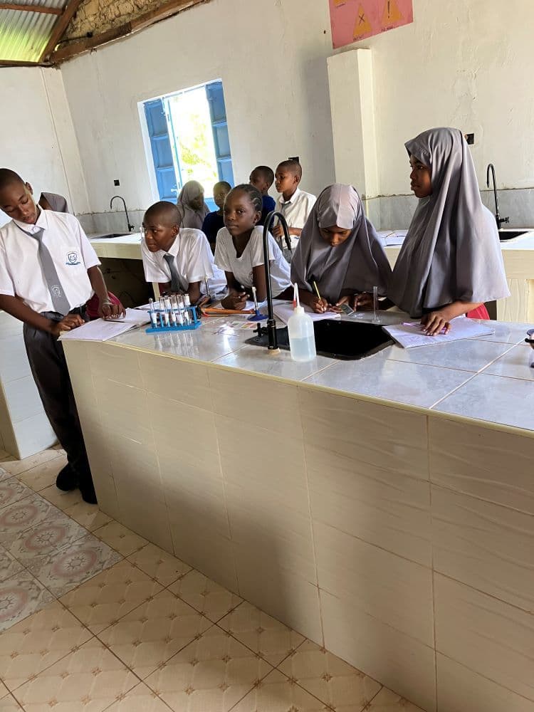 Pupils in uniform working with test tubes at a tiled lab bench