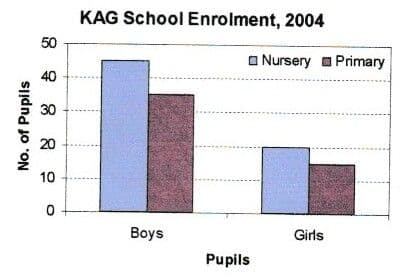 Bar chart of KAG School enrolment in 2004: about 45 boys and 19 girls in the nursery, 35 boys and 14 girls in the primary