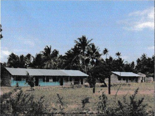 Single-storey classroom blocks with iron roofs on open ground, with coconut palms behind
