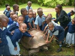 Pupils in school uniform gathered around and touching a giant tortoise on the grass