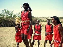 Maasai men in red shukas leaping high in a traditional jumping dance on dry grassland