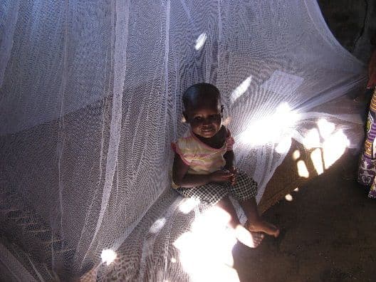 A small child sitting on a bed under a newly hung mosquito net