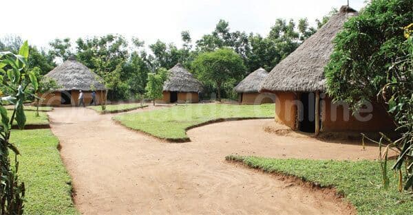 A homestead of round thatched huts along a curving dirt path among green trees