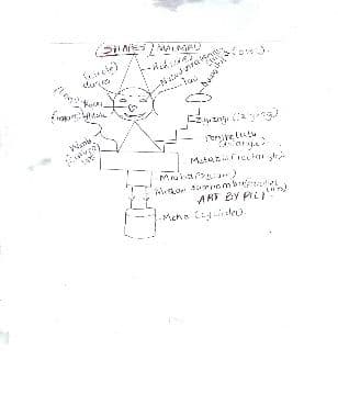 Pupil’s pencil drawing of a figure built from geometric shapes, labelled in Kiswahili and English