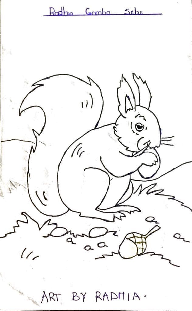Pupil’s pen drawing of a squirrel sitting on the ground holding a nut