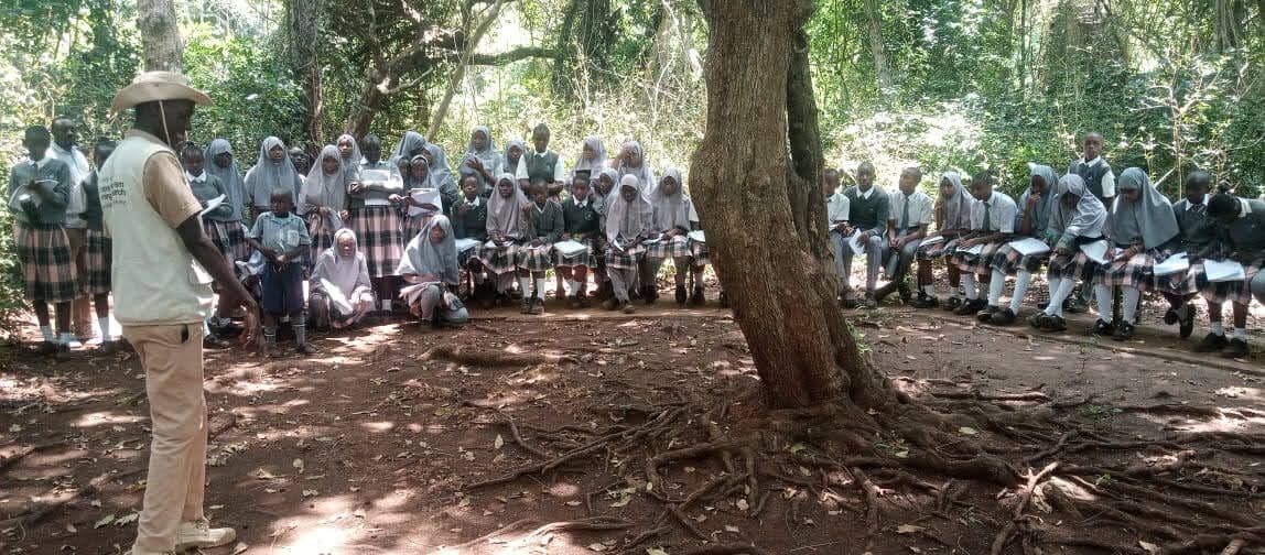 Learners gathered for an outdoor assembly under a tree at Emley