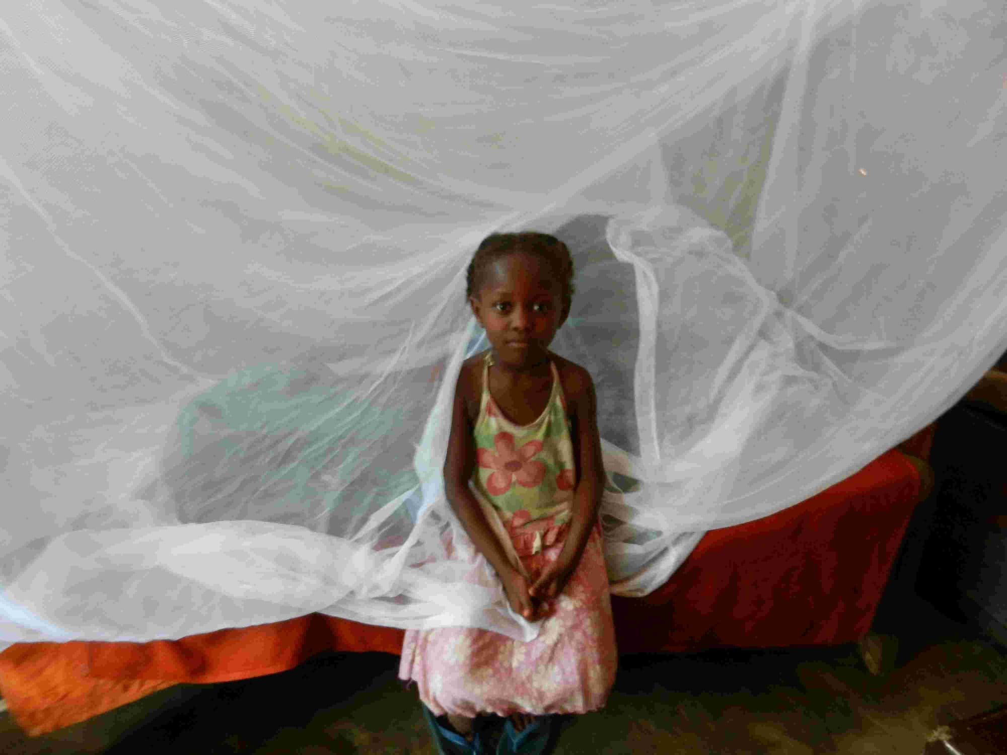 A little girl standing under a newly hung mosquito net