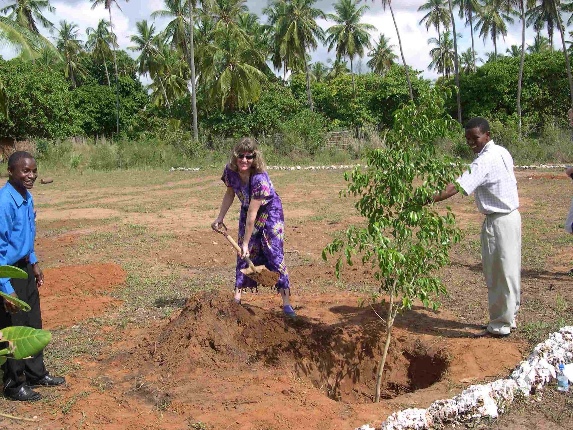 A woman digging to plant a young tree while a man holds it upright