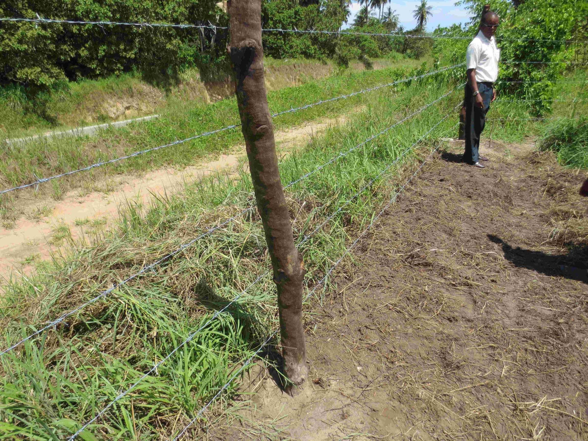 A man walking along a new wire fence marking out the orphanage land