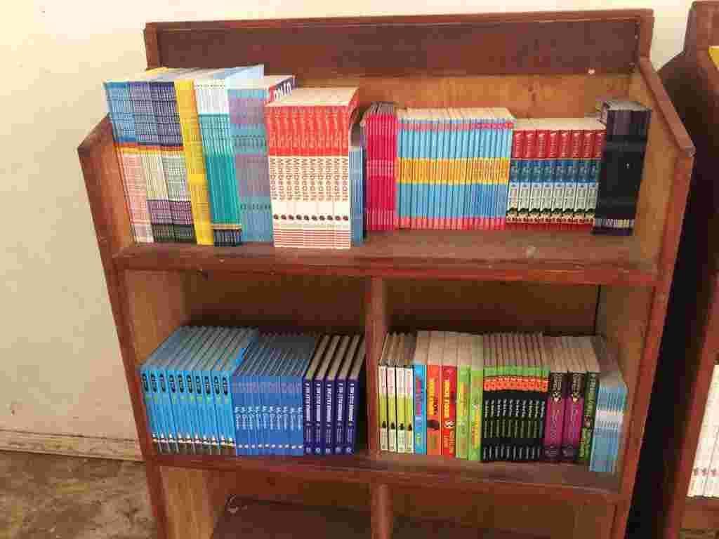 A wooden bookcase filled with new textbooks