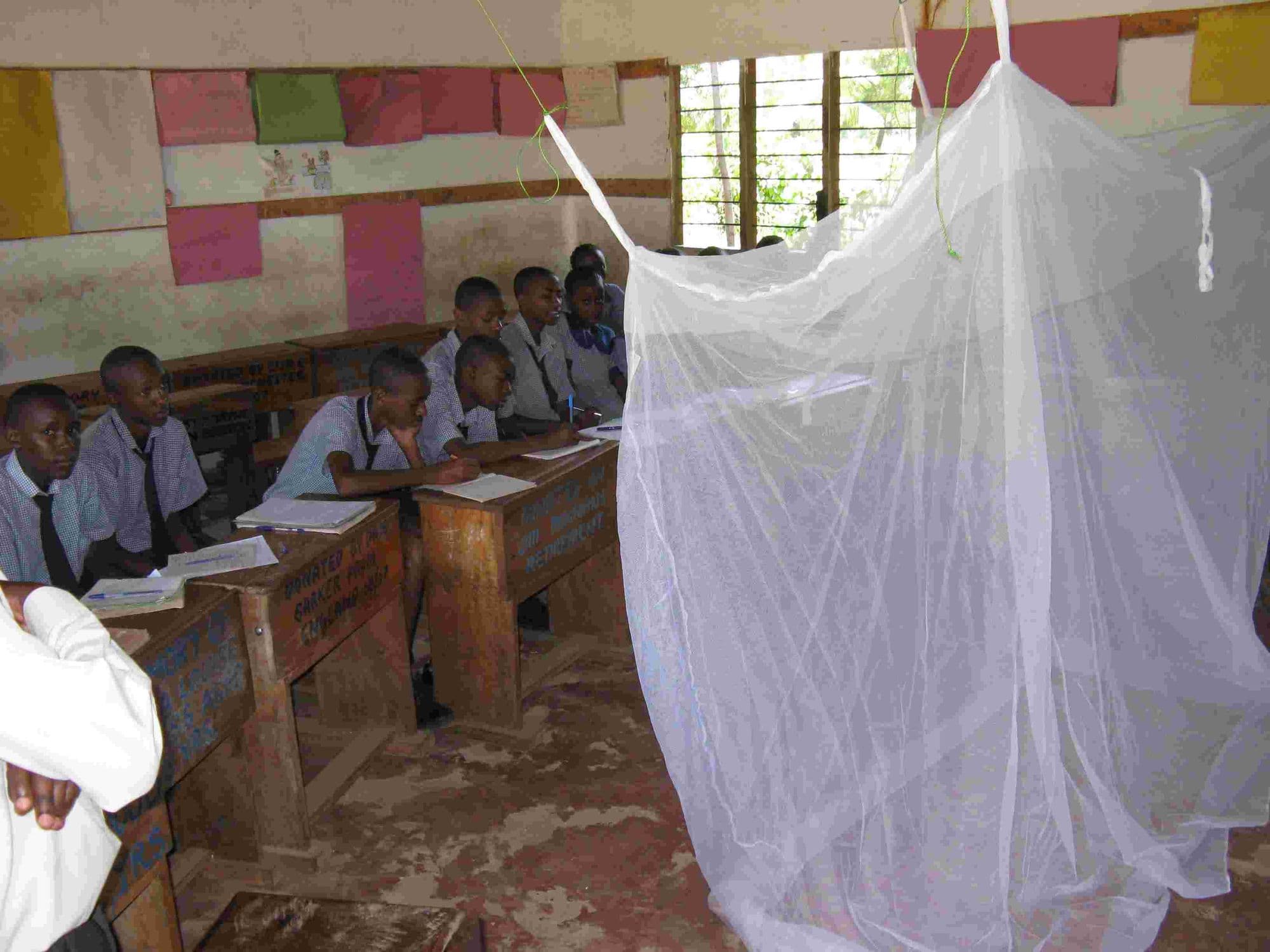 A white mosquito net hung up at the front of a classroom of pupils at their desks