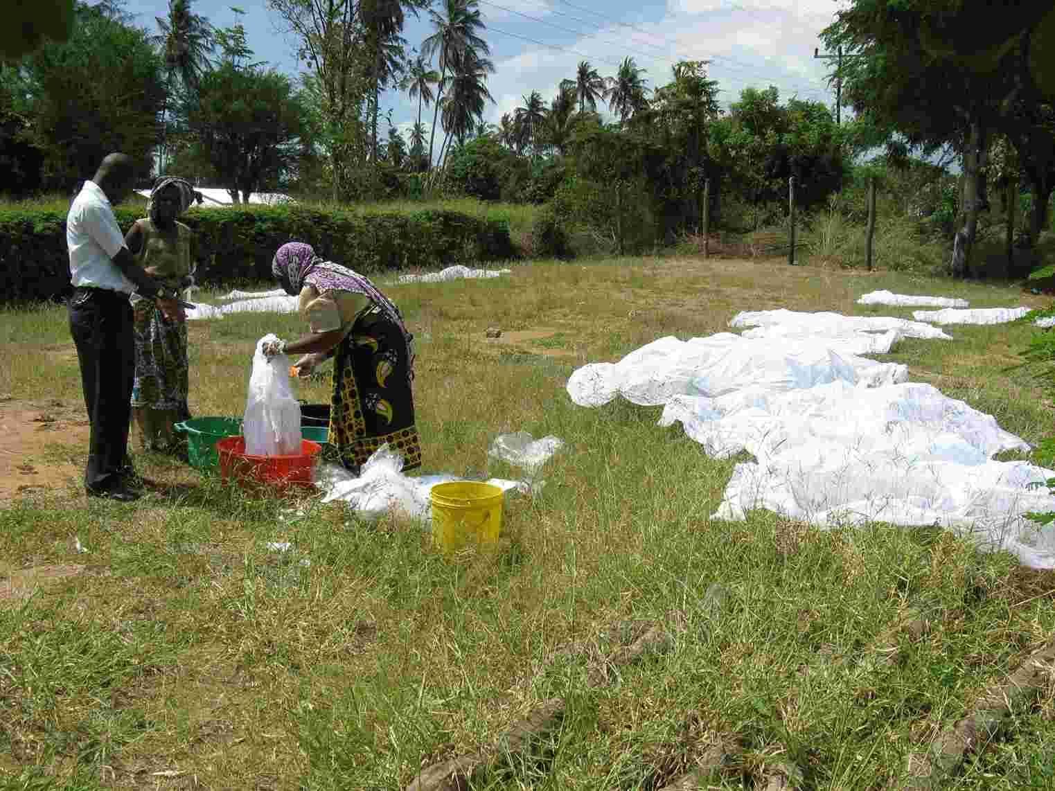 Washed mosquito nets spread out to dry on the grass with women and a man beside basins