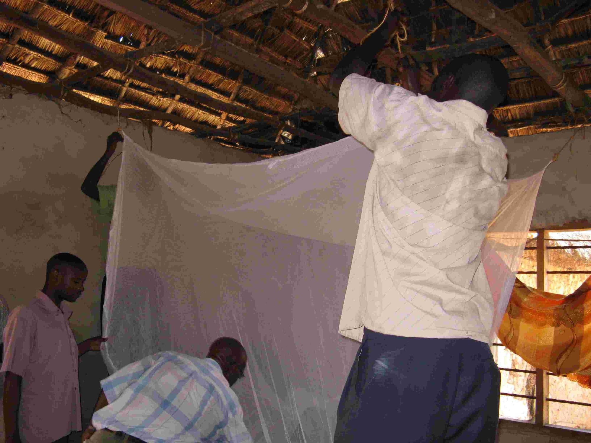 Men hanging a mosquito net from the roof of a mud house
