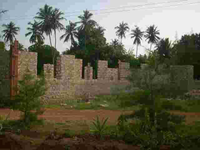 Block walls of the library rising on the building site among palm trees